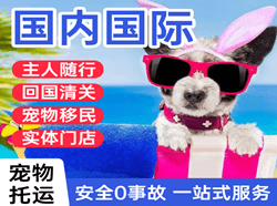 五台山机场邮寄国际宠物托运 【国